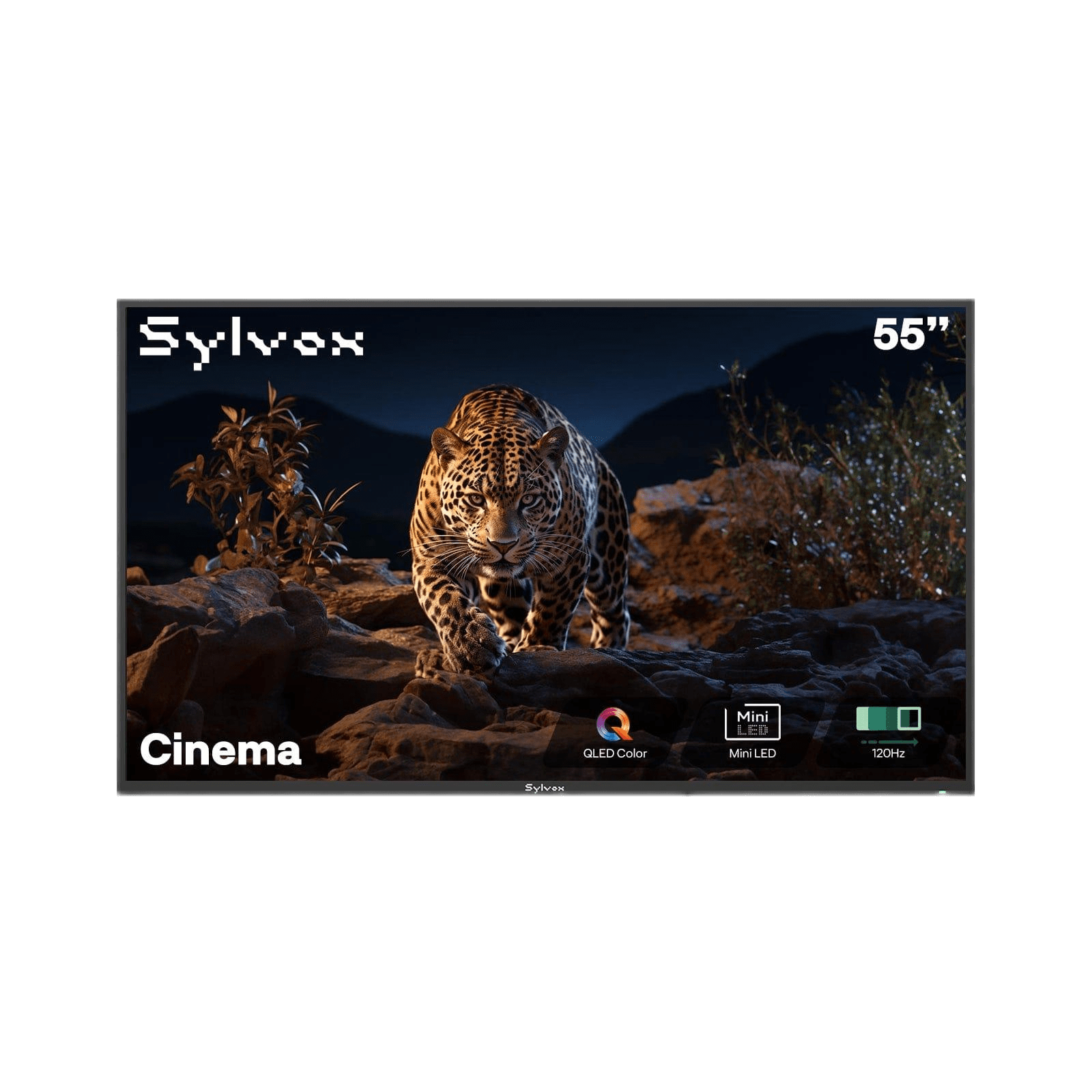 TV para Exterior 55